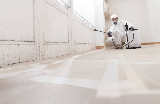 24/7 Emergency Mold Remediation experts in Elizabethtown, NC